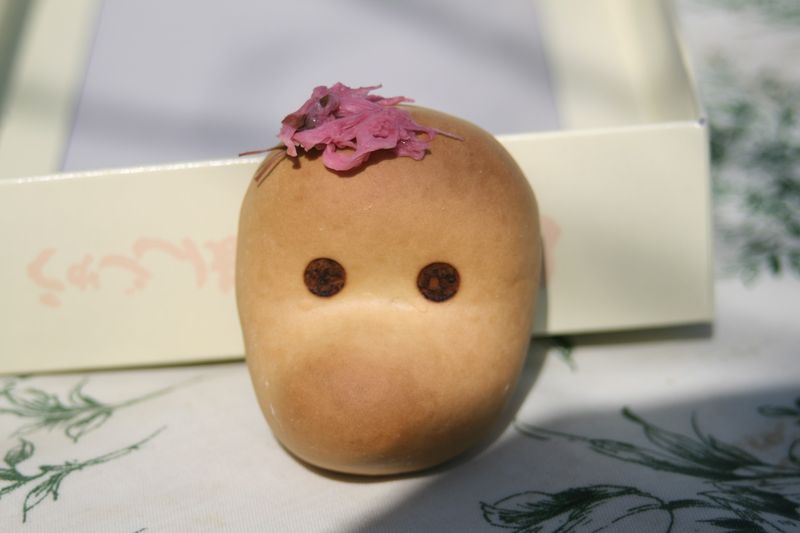 どじょう救い