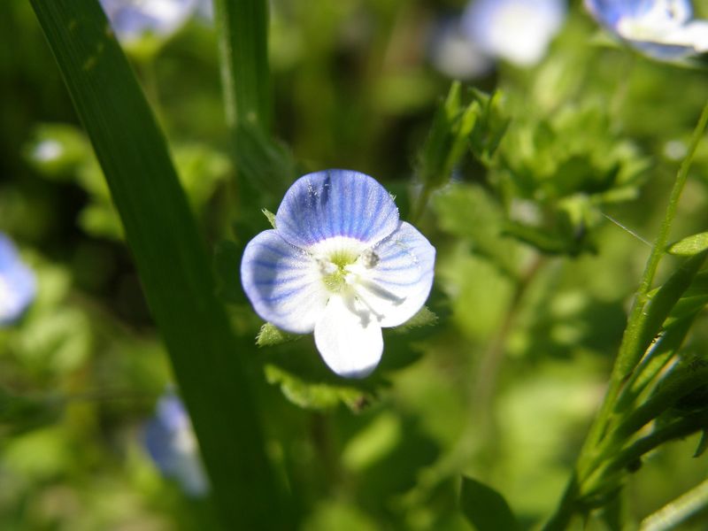 P4250084_050