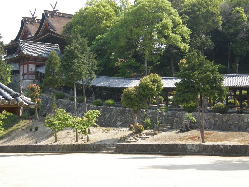 P5030004_050