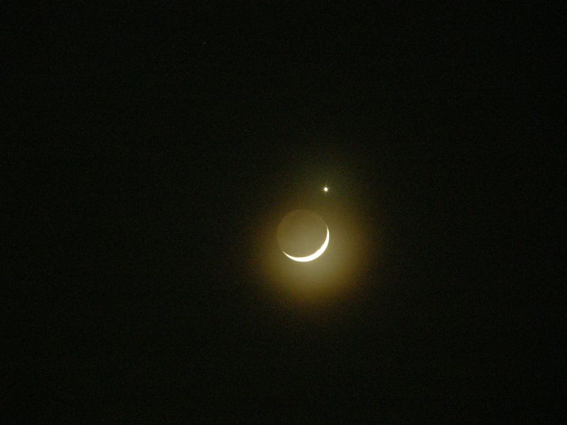 月星実寸