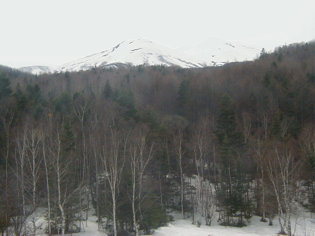 21rorikura