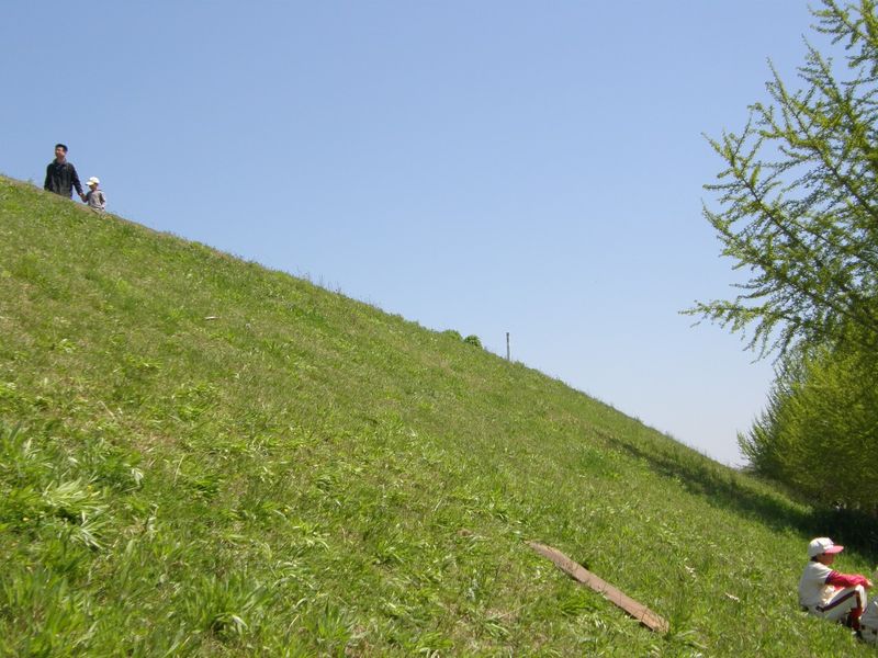 P4250090_050