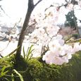 1204092